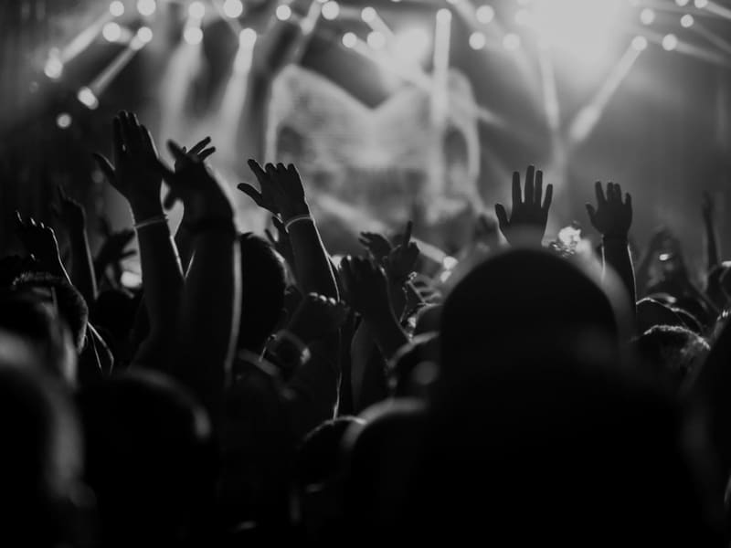 Audience enjoying a live music performance